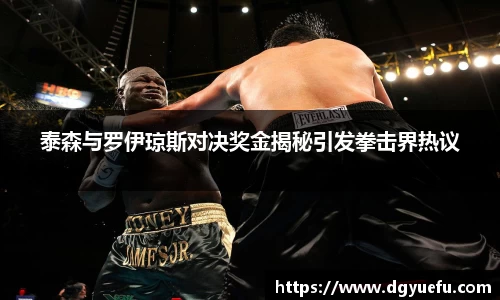 泰森与罗伊琼斯对决奖金揭秘引发拳击界热议